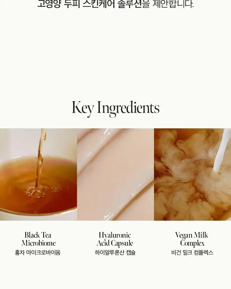 [뿌리볼륨/탈모증상완화] 아닐로 블랙티 너리싱 두피 샴푸 450ml 상세페이지 4